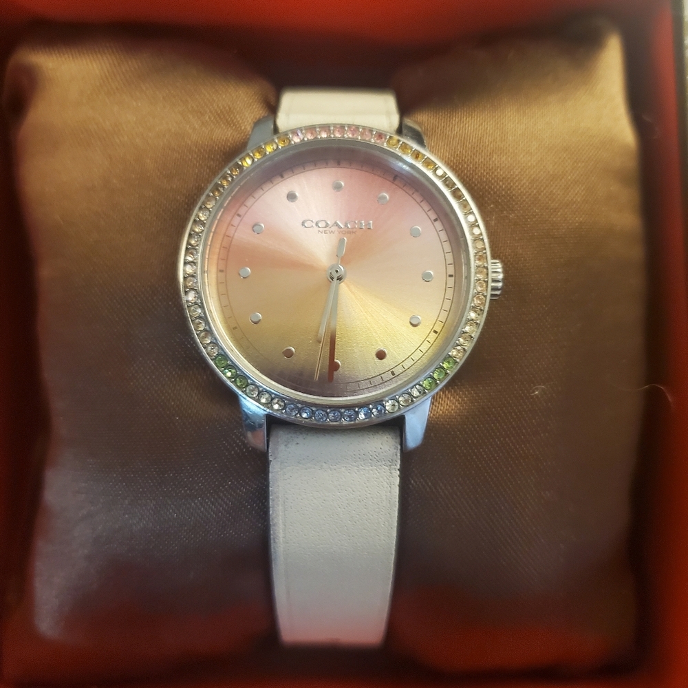 COACH RAYDEN RAINBOW GRADIENT QUARTZ ANALOG WATCH IN GOOD WORKING CONDITION!
